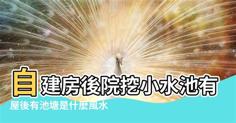 屋後有水池風水|【屋後有水池風水】屋後有水池風水？專家解密「後方水池」影。